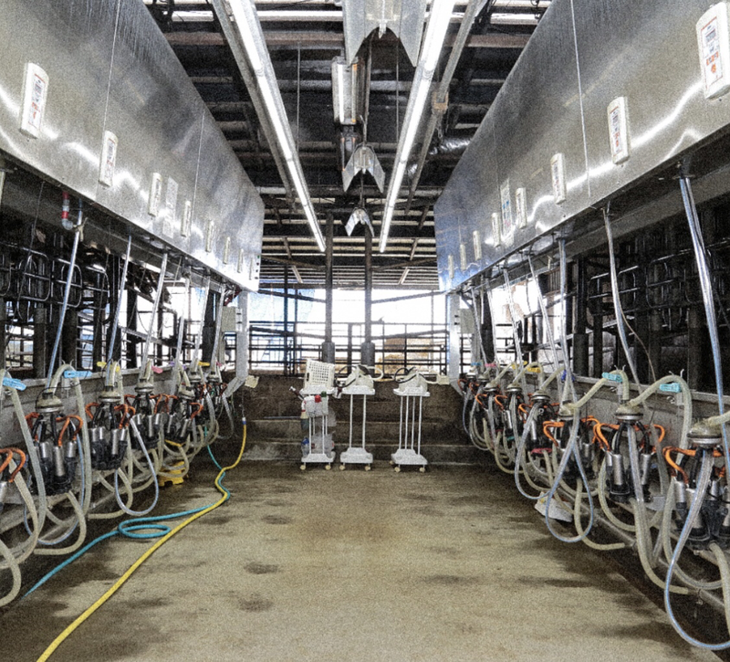 株式会社i-Milk　Factoryのアルバイト・バイト求人情報-02