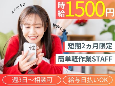 ライクスタッフィング株式会社