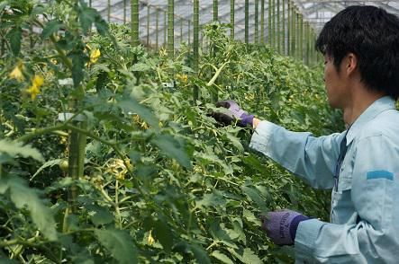 株式会社武蔵野種苗園　三芳センターのアルバイト・バイト求人情報-02