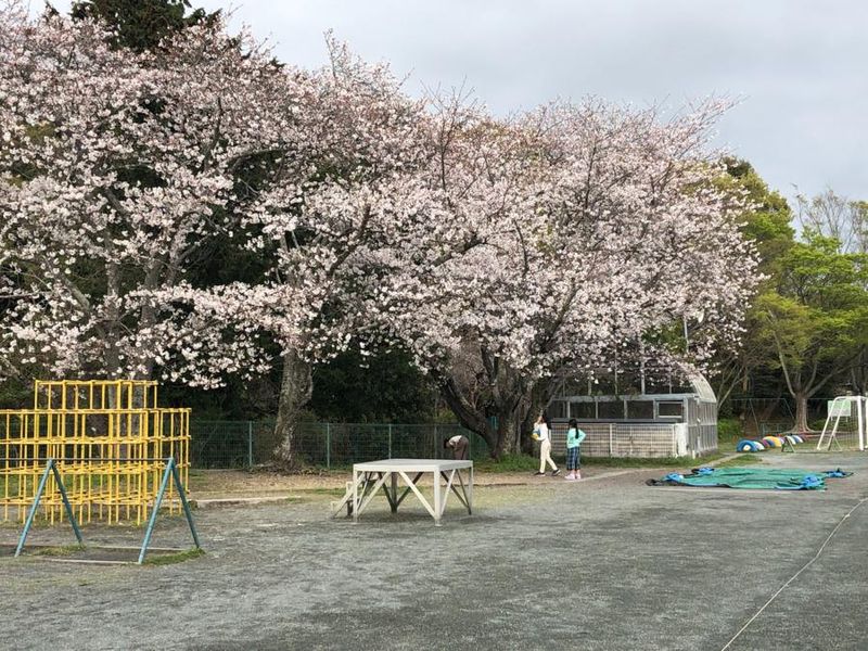 株式会社ユニバースの求人・転職情報