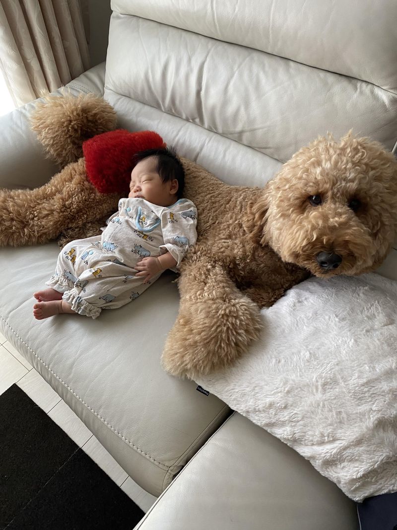 上高井土建株式会社のアルバイト・バイト求人情報-05