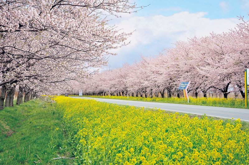 道の駅おおがたのアルバイト・バイト求人情報-04