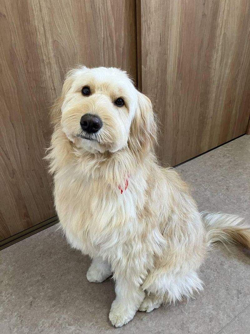 絆デイサービス衣笠のアルバイト・バイト求人情報-04