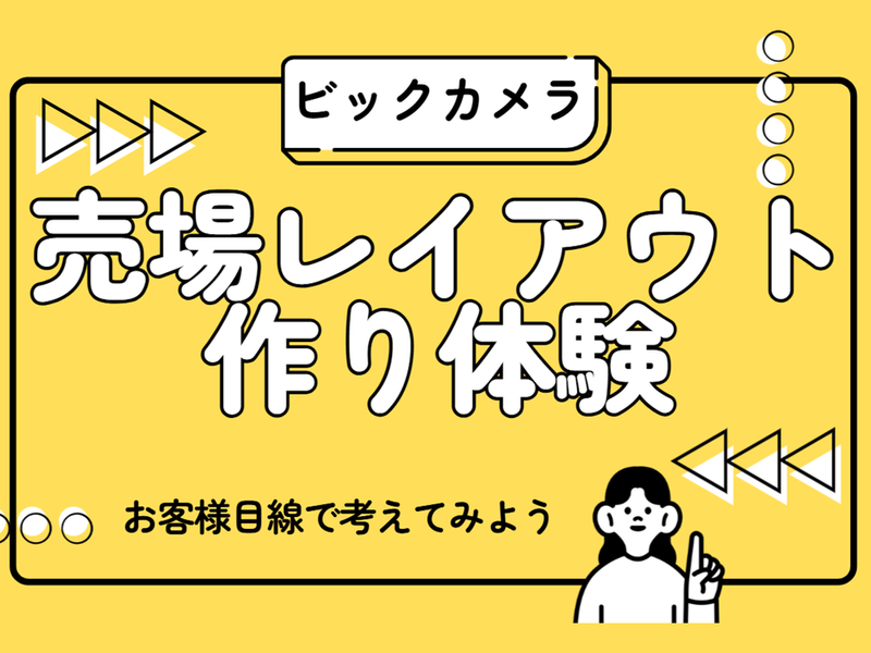株式会社ビックカメラ