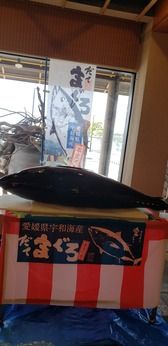 廻鮮寿司しまなみ　蔵王店の求人4