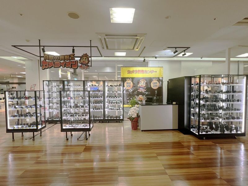 百獣の買取王　カメライオンの求人・転職情報-02