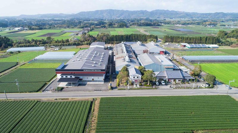 鹿児島堀口製茶有限会社の求人・転職情報