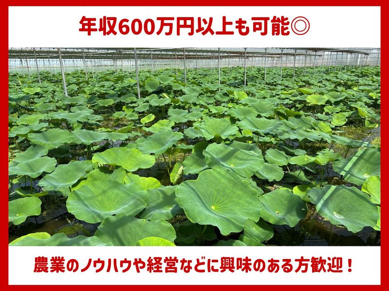 株式会社Onevegetableの求人・転職情報