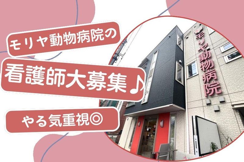 モリヤ動物病院の求人・転職情報