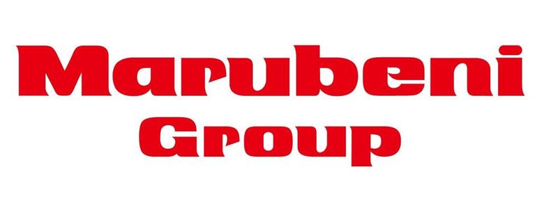 丸紅I-DIGIOホールディングス株式会社の求人・転職情報