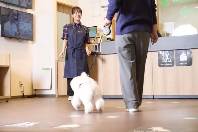 株式会社イオンペットの求人・転職情報