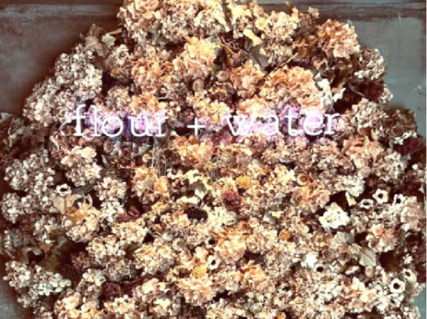 株式会社DREAM ONの求人・転職情報