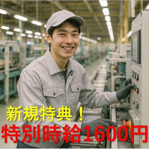 辻総合クリエート　狭山オフィス24の派遣求人情報
