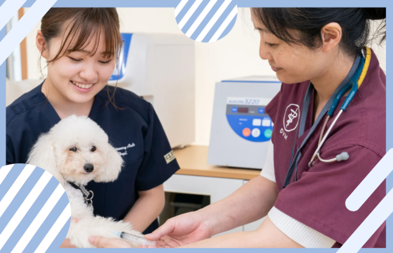 学校法人福岡安達学園の求人・転職情報