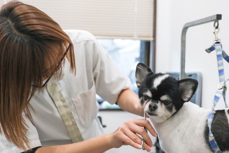 株式会社ベアリッジの求人・転職情報