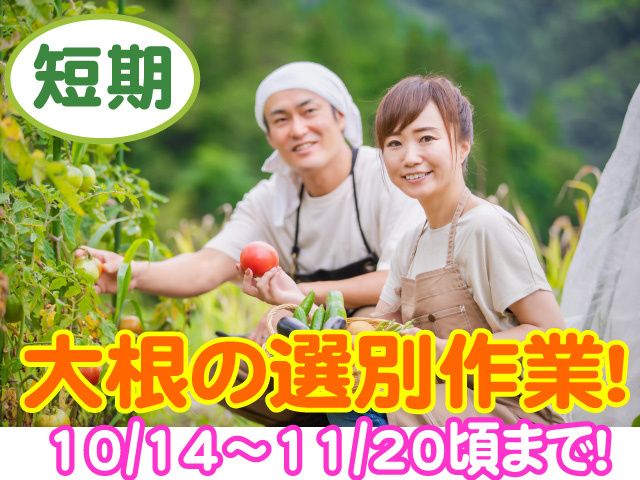 株式会社ピース　ピーススタッフ
