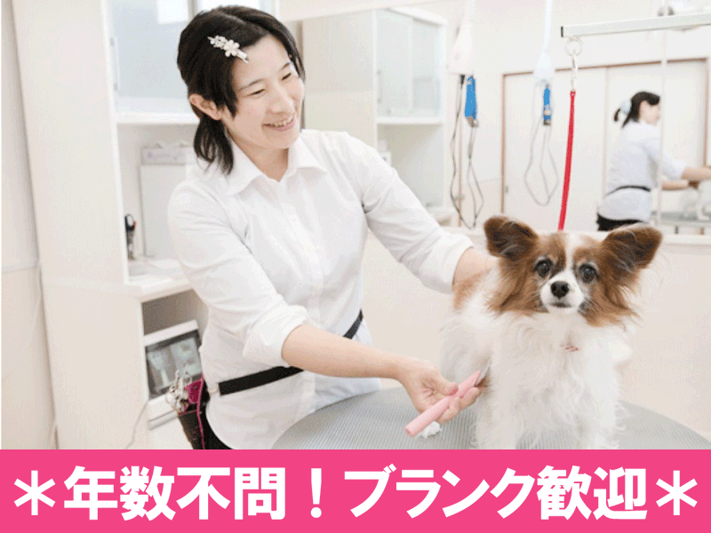 ペットサロン　テディーハウスの求人・転職情報