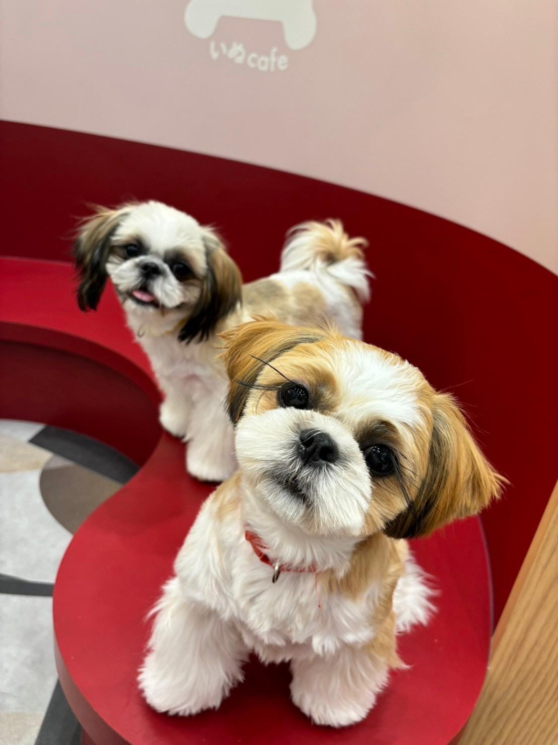 RIO株式会社の求人・転職情報