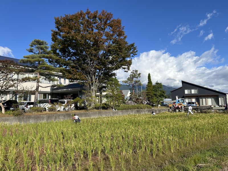 株式会社嶺水の求人・転職情報