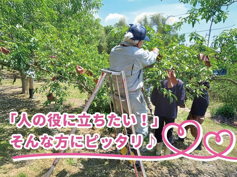 アグリ.エカロー･星のアルバイト・バイト求人情報-03