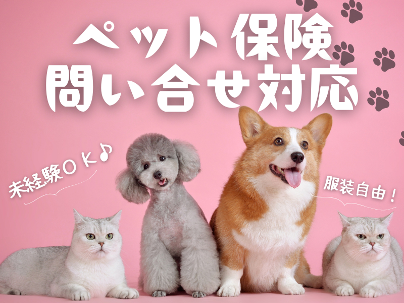 SocioFuture WIT株式会社の求人・転職情報