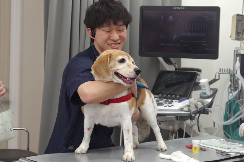 株式会社福井獣医科病院のアルバイト・バイト求人情報-04