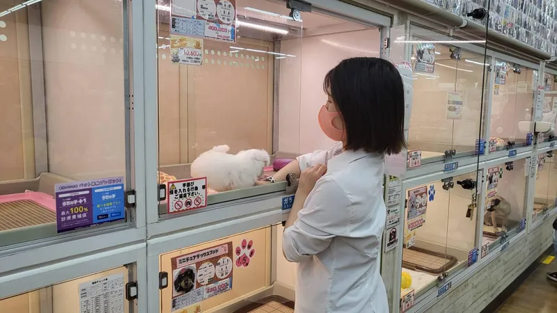 求人画像
