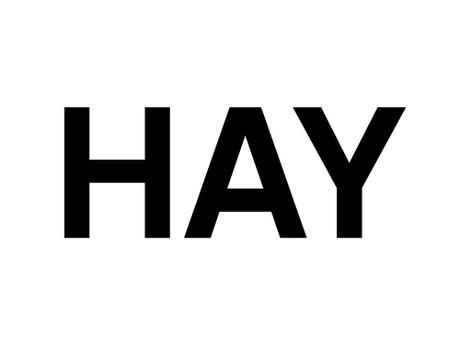 HAY 二子玉川ライズS.C.のアルバイト・バイト求人情報-06