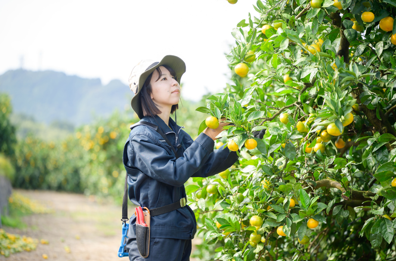 愛媛県のアルバイト・バイト求人情報-02