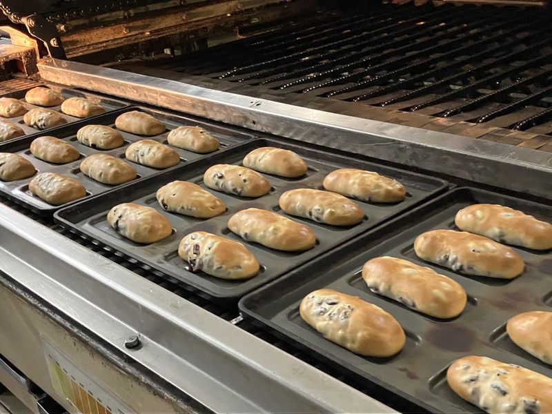 白石食品工業株式会社-0001の求人・転職情報