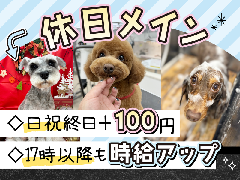 ニコペット春日部店の派遣求人情報