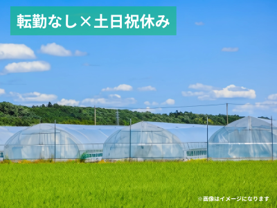 縄甚協立株式会社のアルバイト・バイト求人情報-02