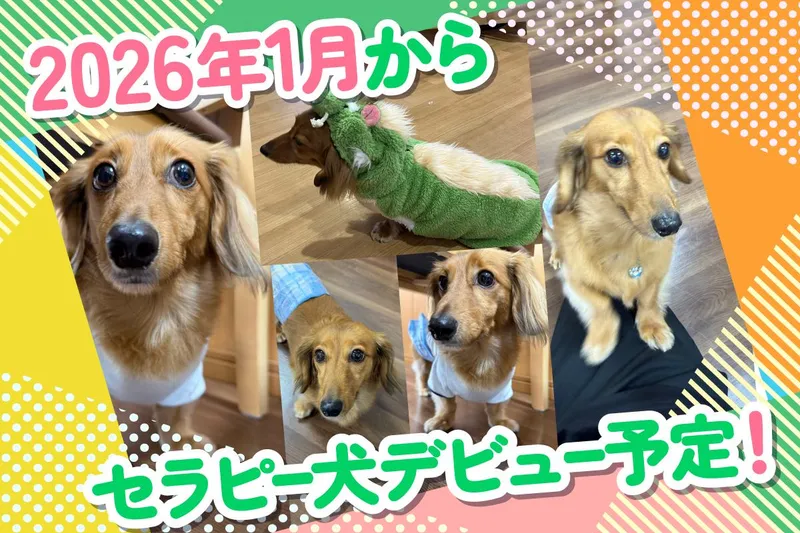 株式会社スマイルらいふけあの求人・転職情報