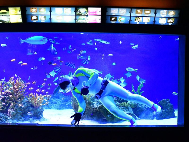 株式会社江ノ島マリンコーポレーション