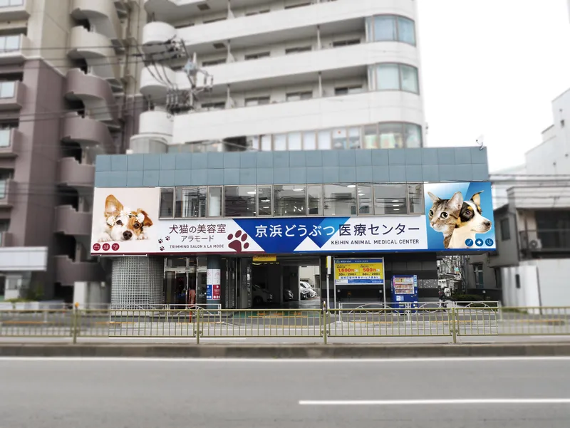 株式会社ファニメディック-0004の求人・転職情報