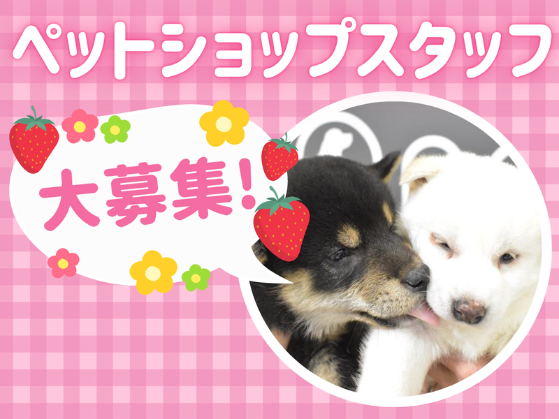 ワンラブ(ONELOVE)関東本店のアルバイト・バイト求人情報-39