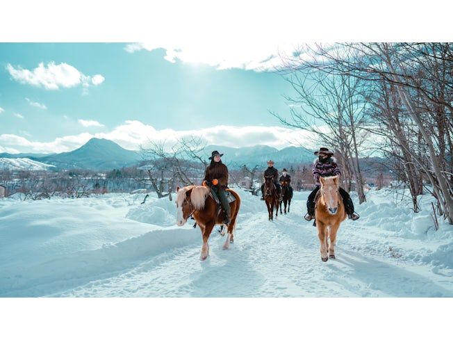 ワイルドムスタングス 有限会社ワイアットアープのアルバイト・バイト求人情報-02