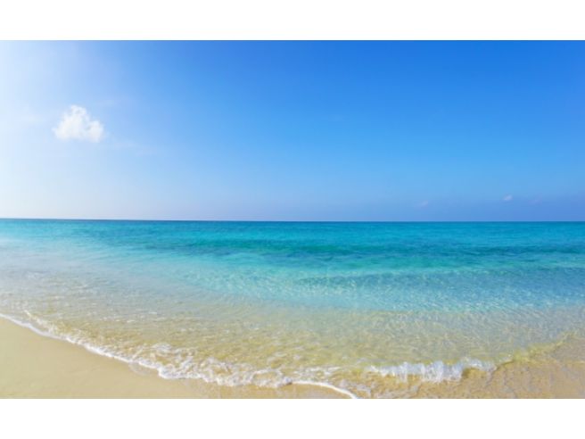 株式会社沖縄ダイケンの求人・転職情報