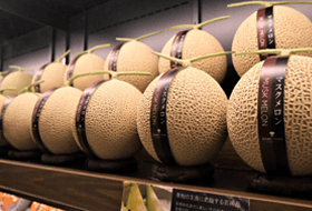 株式会社丸留のアルバイト・バイト求人情報-03