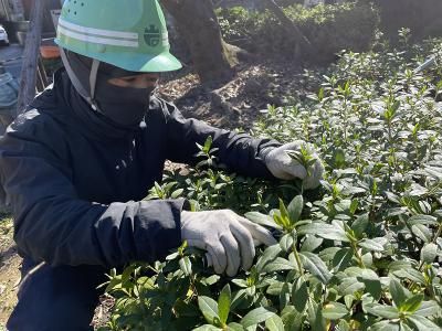 株式会社ING　荒川営業所のアルバイト・バイト求人情報-03