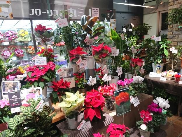 フラワーショップ　フローリストカミノ　ビオルネ枚方店のアルバイト・バイト求人情報-01