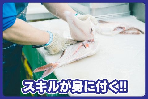 株式会社 鮮ど市場(ja_jp)-0003の求人・転職情報