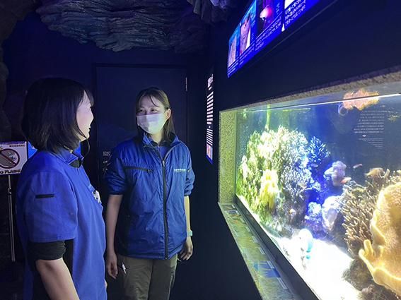 佐政水産株式会社の求人・転職情報