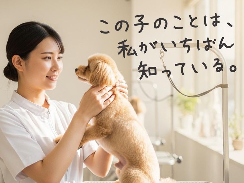 株式会社ＺＵＴＴＯの求人・転職情報