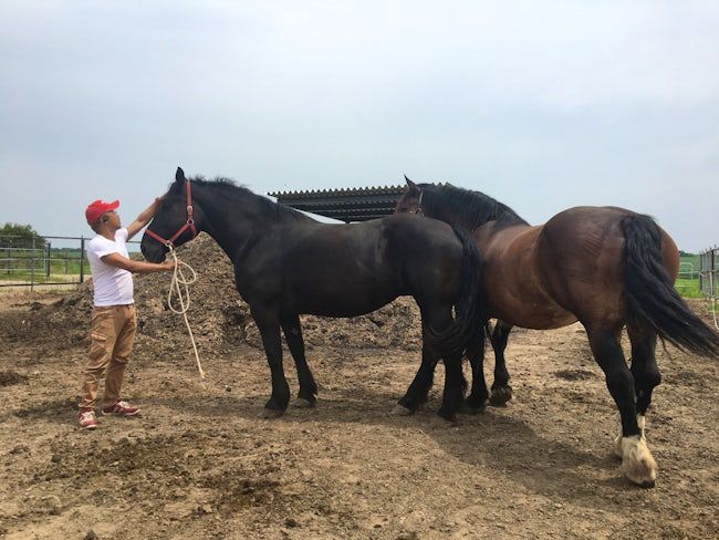 株式会社金福畜産の求人・転職情報