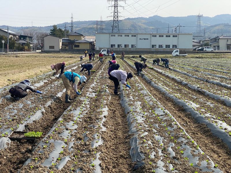 有限会社中本農園のイメージ4