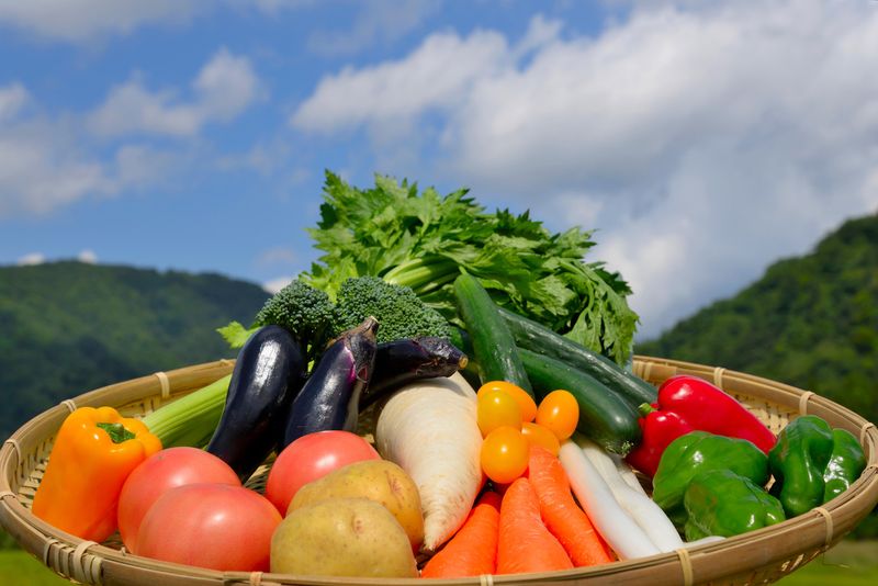 フードショップイトウ