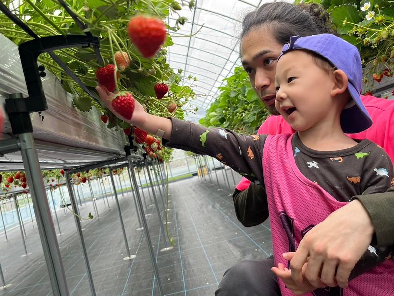 放課後等デイサービス ウィズ・ユー堺 大仙のアルバイト・バイト求人情報-02