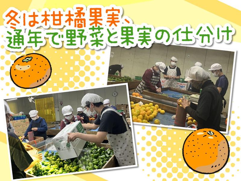 多摩商事株式会社(東京多摩青果:国立市場内)のアルバイト・バイト求人情報-04
