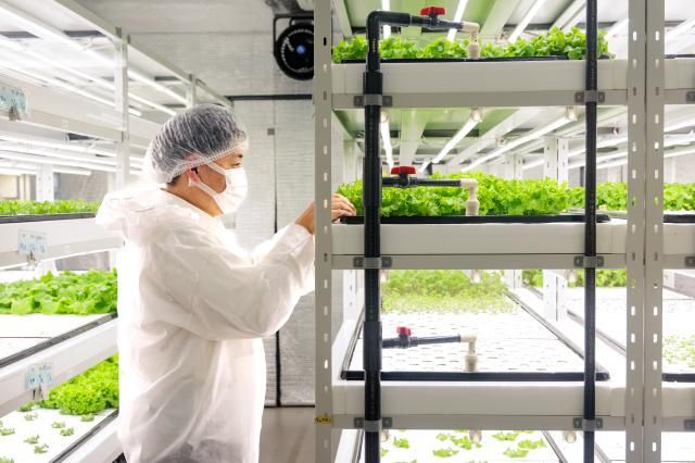 シップヘルスケアフード株式会社の求人・転職情報